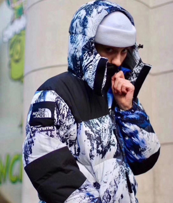 Supreme The North Face Jacket